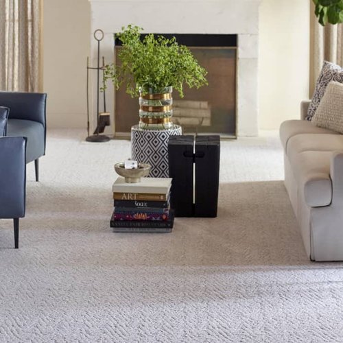 Living Room Pattern Carpet - Pulskamps Flooring Plus in Batesville, IN